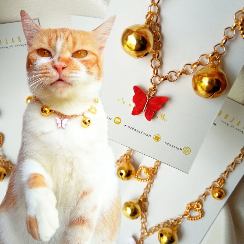 Kalung Kucing Cleopatra | Kalung Kucing Rantai | Kalung Kucing Estetik