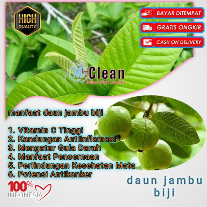 

daun jambu biji muda fresh 1kg