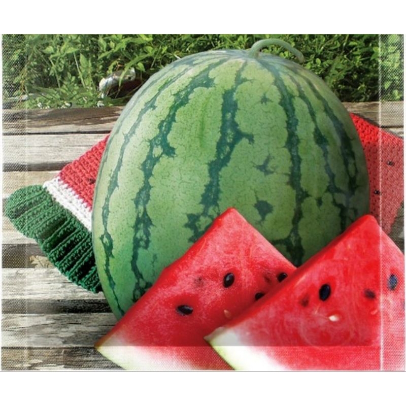 5 Biji Benih Semangka MADE F1 | Benih Semangka | Bibit Semangka