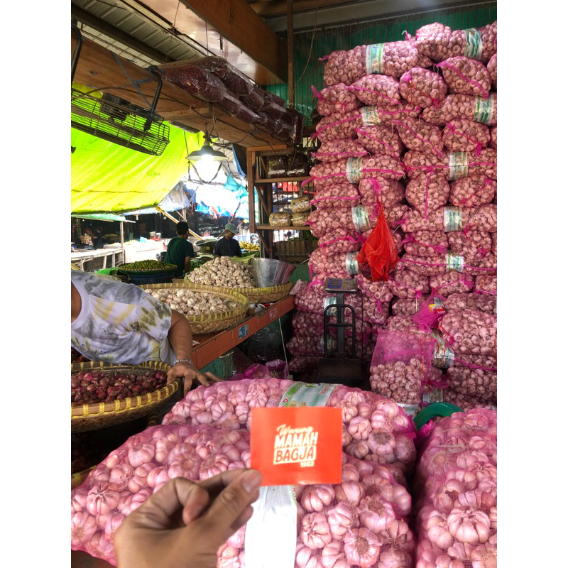 

BAWANG PUTIH FRESH 1kg