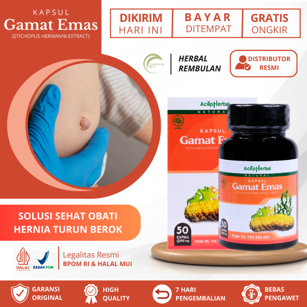 Obat Hernia, Obat Turun Berok, Obat Turun Berok Pria, Obat Hernia Dewasa, Obat Hernia Inguinalis, Ob