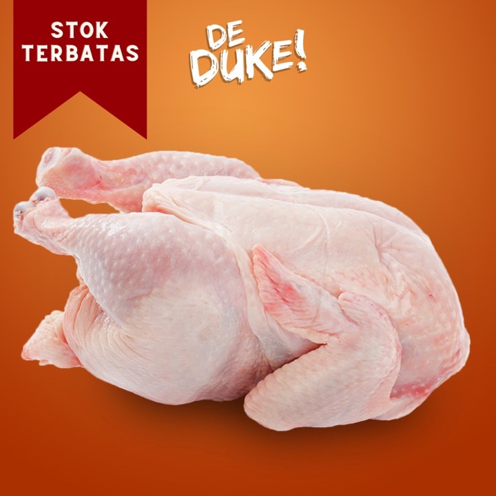 

KODE 77 Ayam Karkas Broiler Ayam Utuh 513Gram