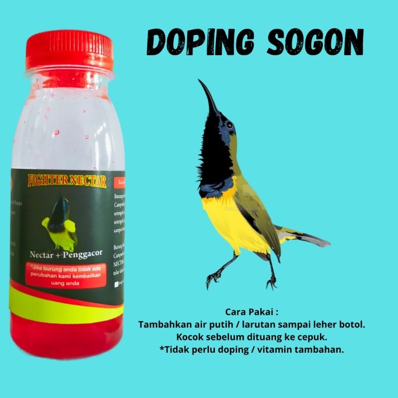 Nektar Sogon Red  - Nektar Konin - Nektar Pleci - Nectar Sogon - Nectar Konin