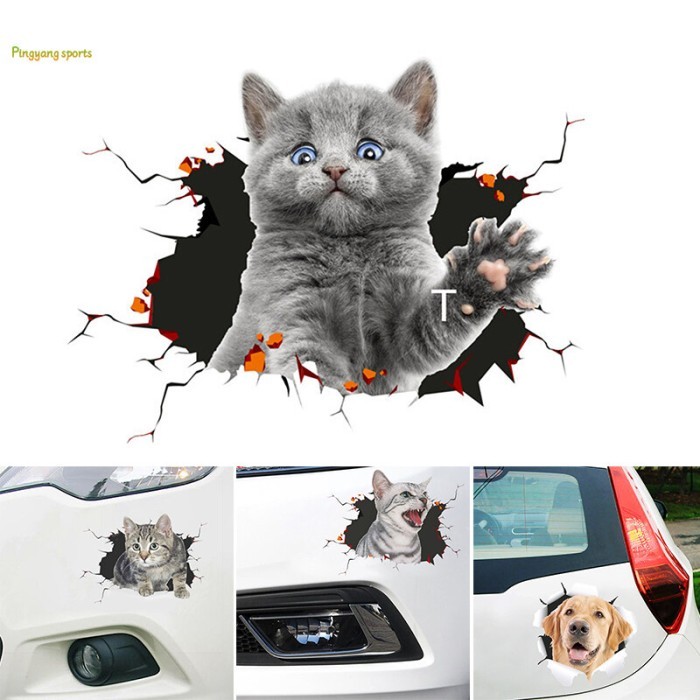 

Stiker anak kucing lucu 3D background hitam sticker hewan hiasan dekorasi dinding rumah