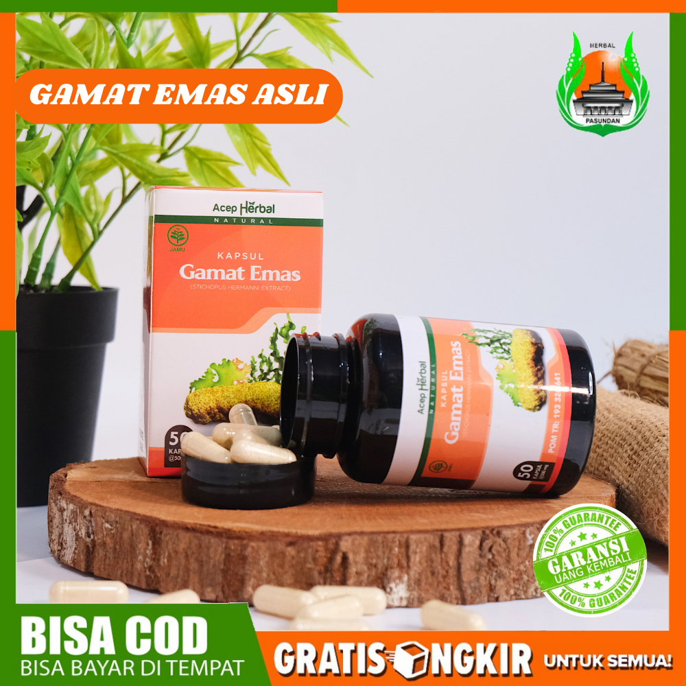 Qnc Gamat Versi Kapsul Jelly Gamat Emas Kapsul Jaga Kesehatan dan Atasi Gejala Penyakit Secara Alami