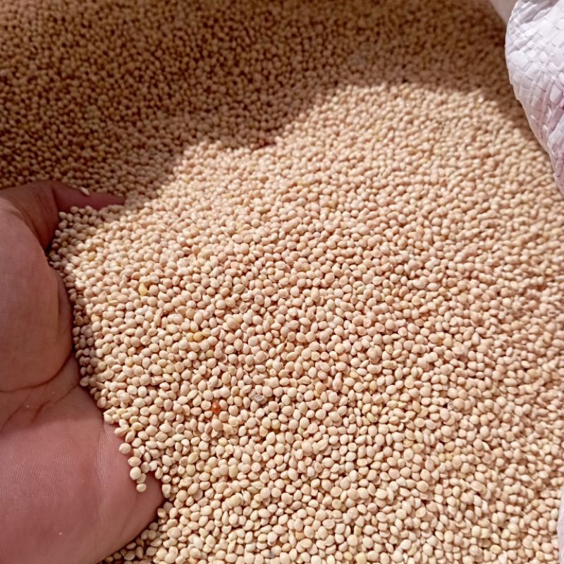 Milet Putih Vita Pakan Burung. Milet Putih/Milet Kuning/Milet Merah 1Kg