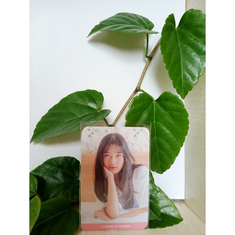 photocard JKT48 ONIEL the morning call