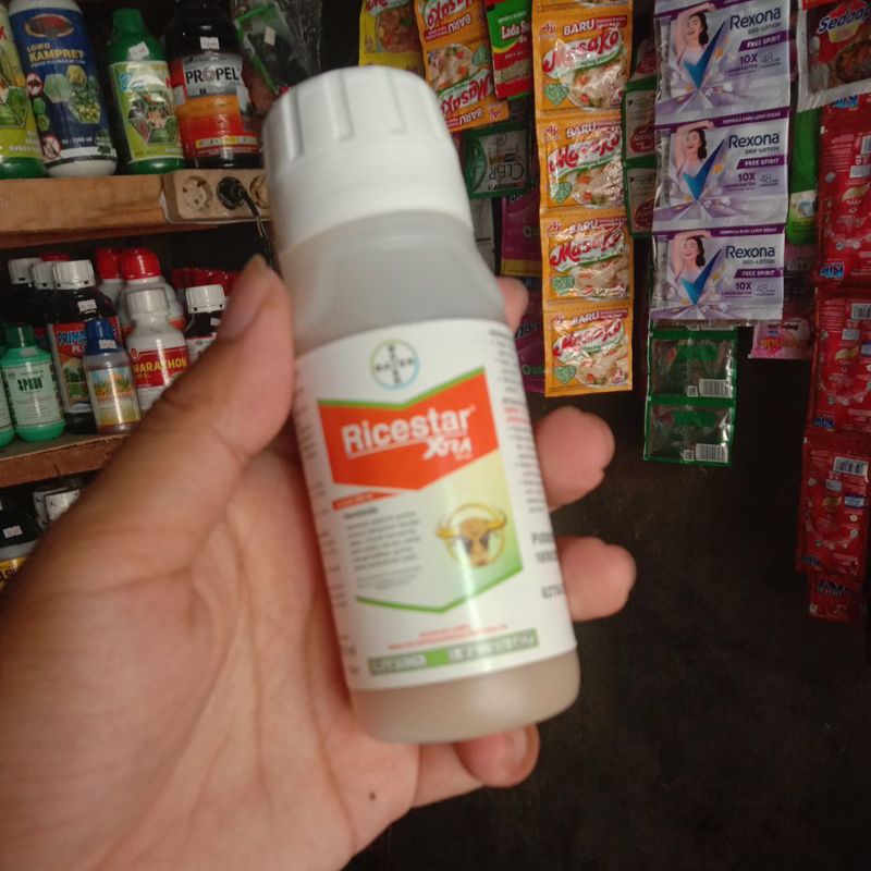 ricestar xtra 100ml herbisida