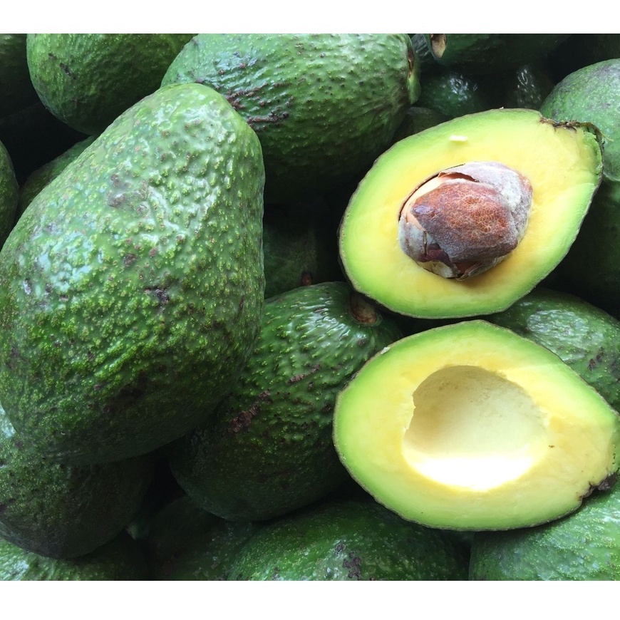 

Alpukat Mentega Alpucado | Buah Alpukat Diet MP ASI