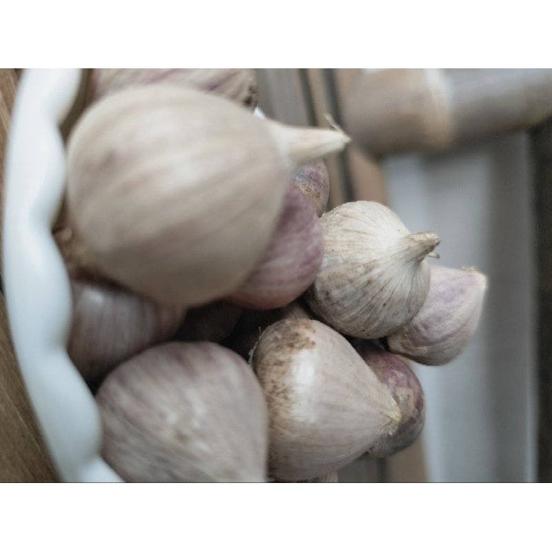 

bawang lanang tungal 250g,bawang tungal