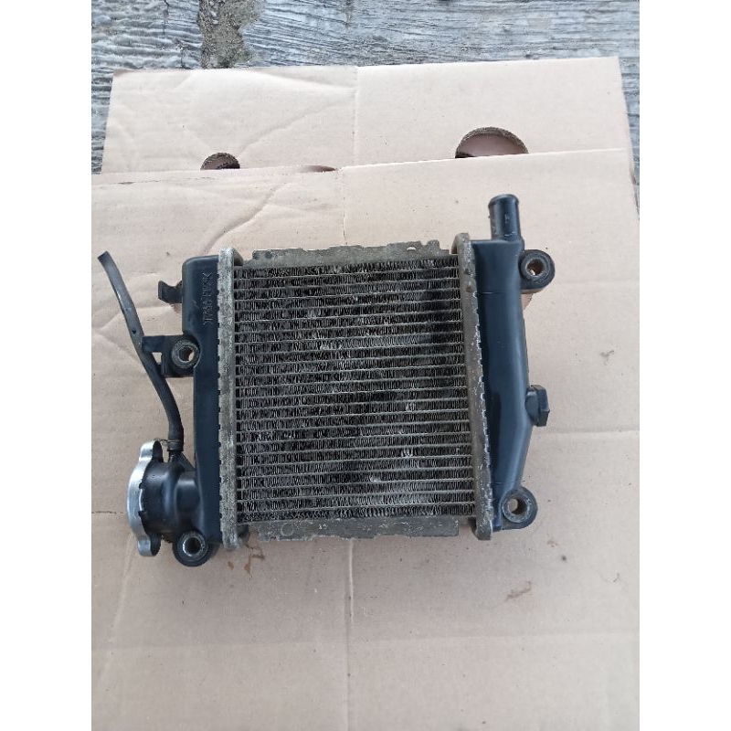 radiator xeon rc/xeon karbu original copotan