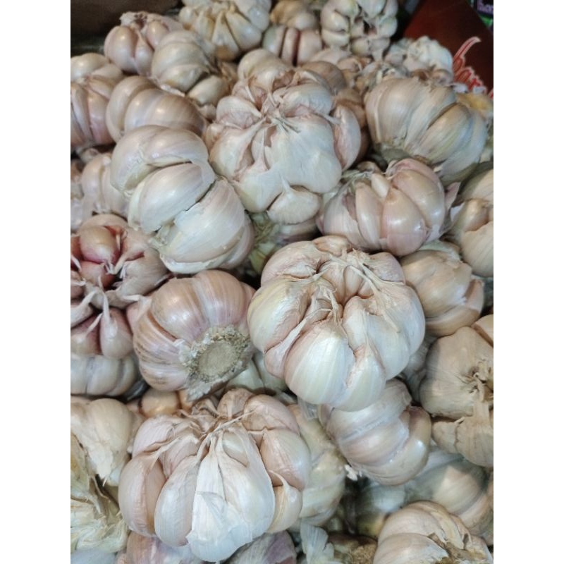 

Bawang putih honan / bawang putih banci / bawang putih biasa / bawang putih pilihan 1kg