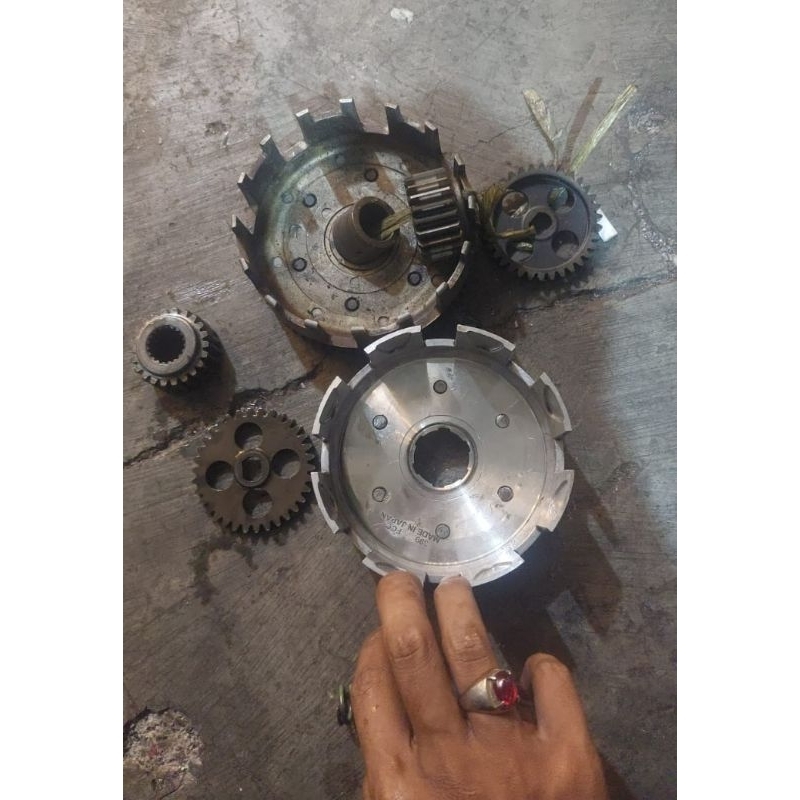 Draf Gear original tiger