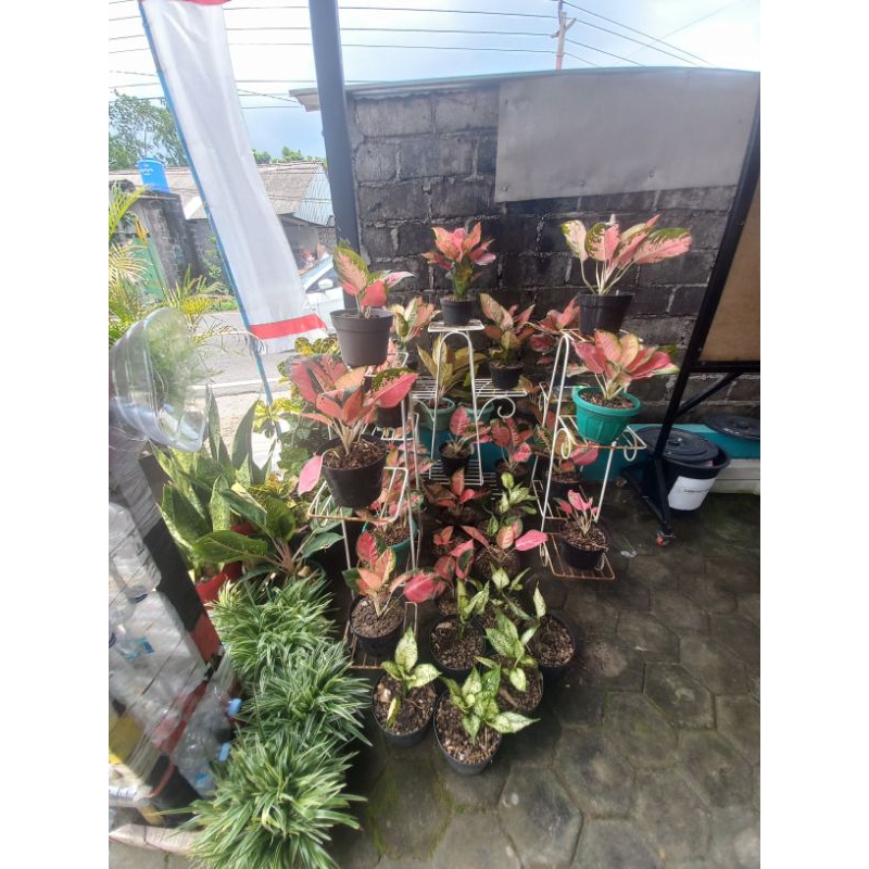 kepala barbie angel of peace alis dan bibir repaint pesenan