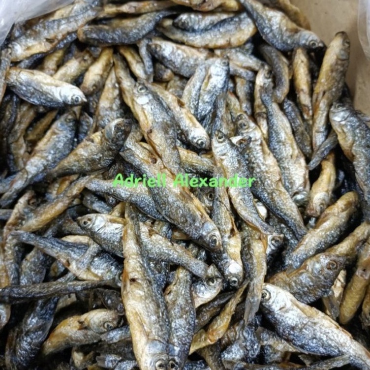 

BEST SELLER Ikan Bilih Ikan Bili Ikan Danau Tawar 5gram