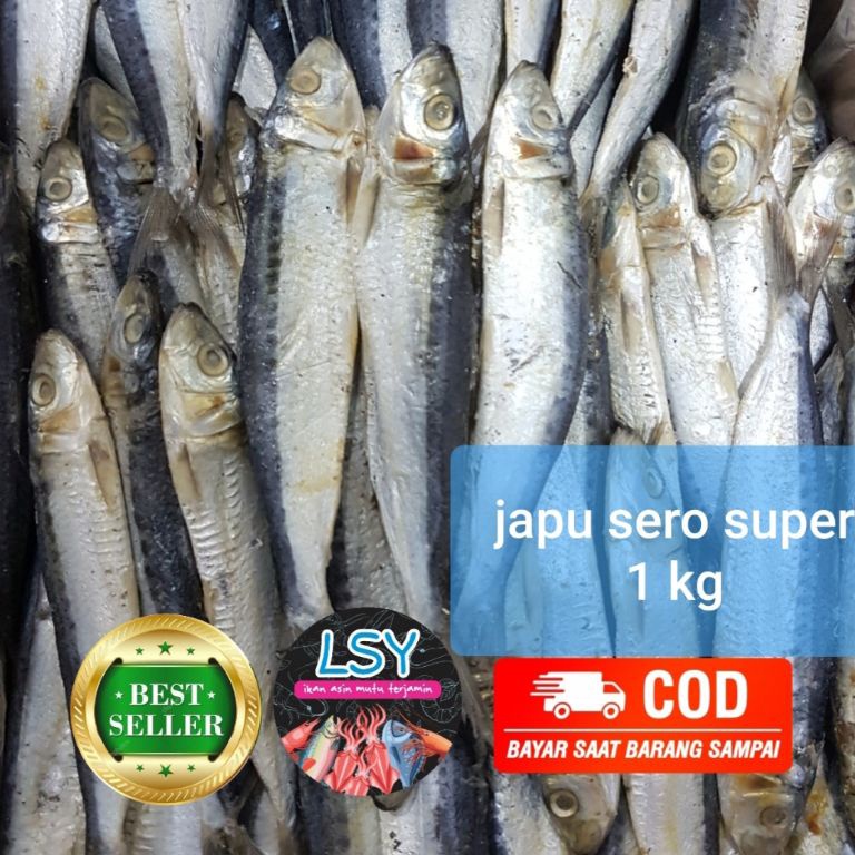 

PROMO ALE ikan asin japu sero 1kg