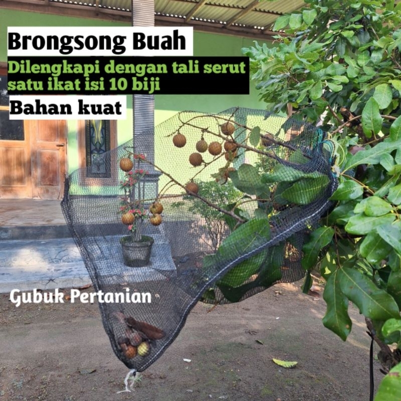 Brongsong Buah/Bungkus Buah Kelengkeng Matoa Jambu Salak Dari jaring jangkar Barang Baru