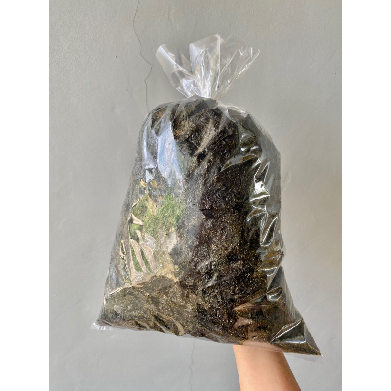 NORI KUALITAS PREMIUM 1 KG (PROMO) Nori / nori rumput laut / remahan nori / patahan nori