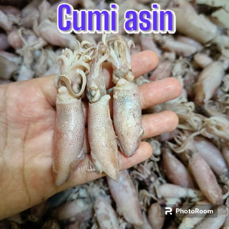 

IKAN ASIN CUMI BABON REBUS 500 GRAM