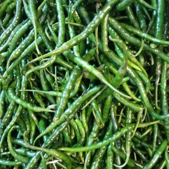 

Terbaru 33 Cabe Cabai Hijau Keriting 5 gr