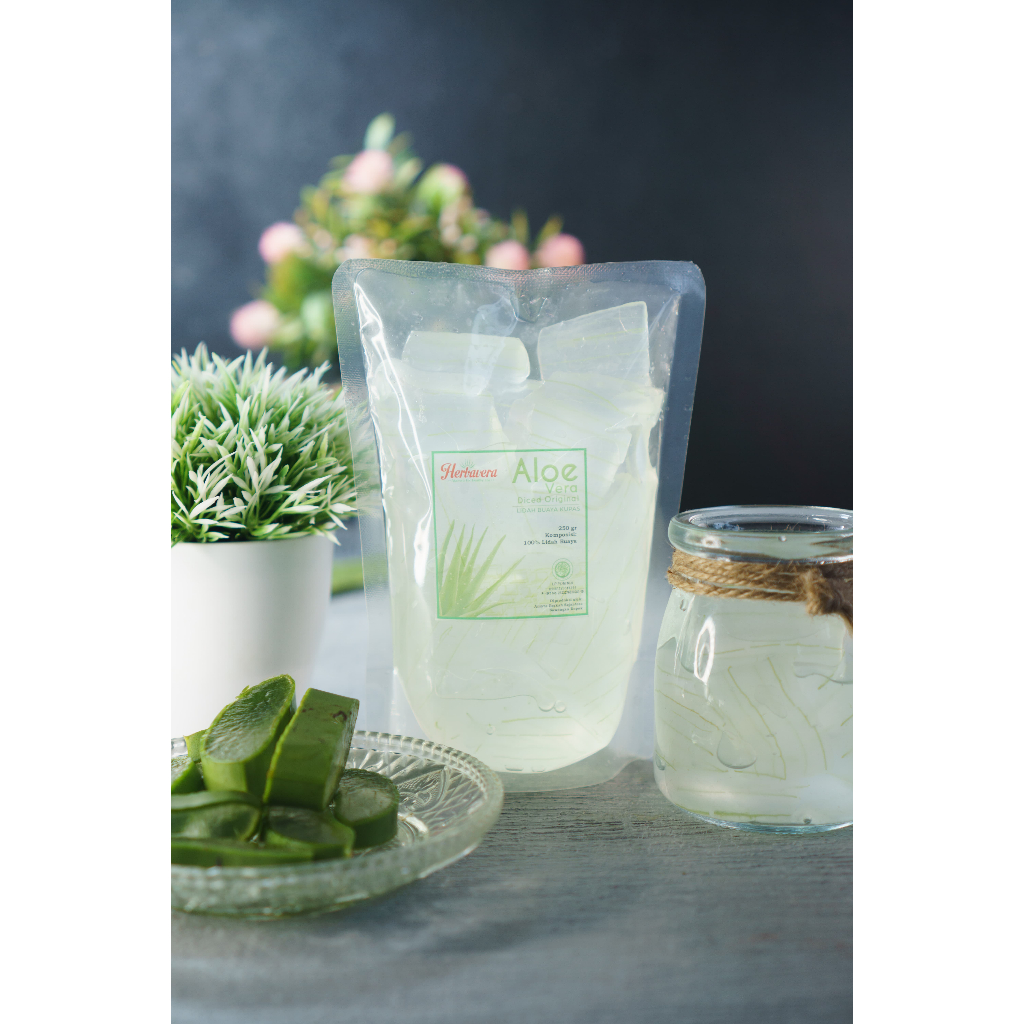 

AloeVera Lidah Buaya Kupas Murni Original