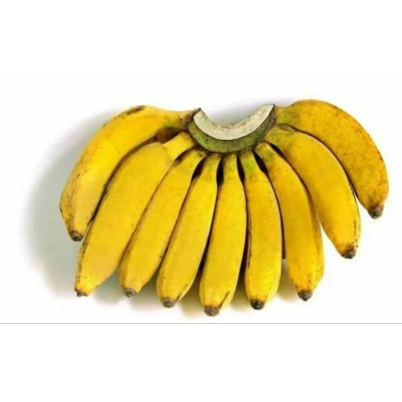 

Pisang Raja Per Sisir