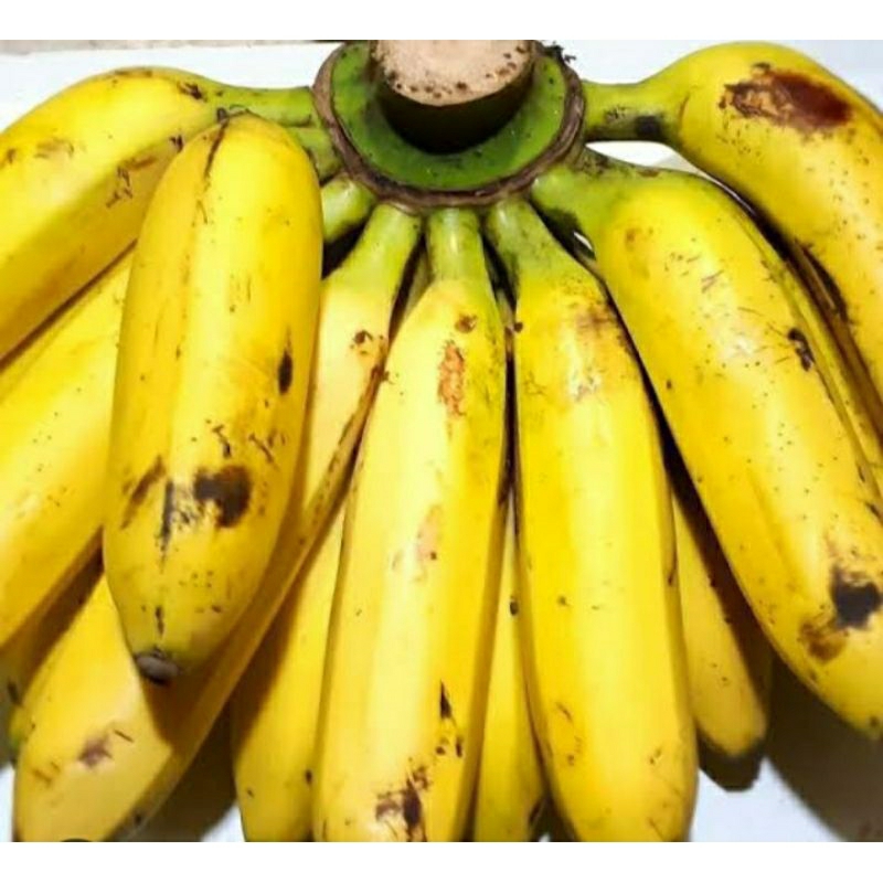 

pisang uli super manis