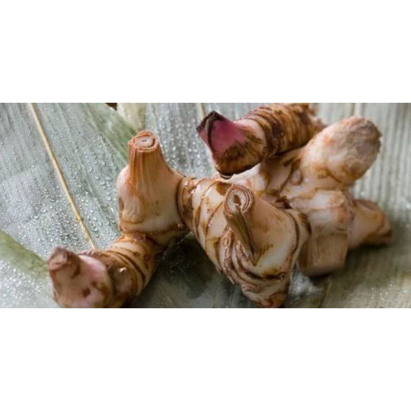 

Lengkuas segar berat 250gr