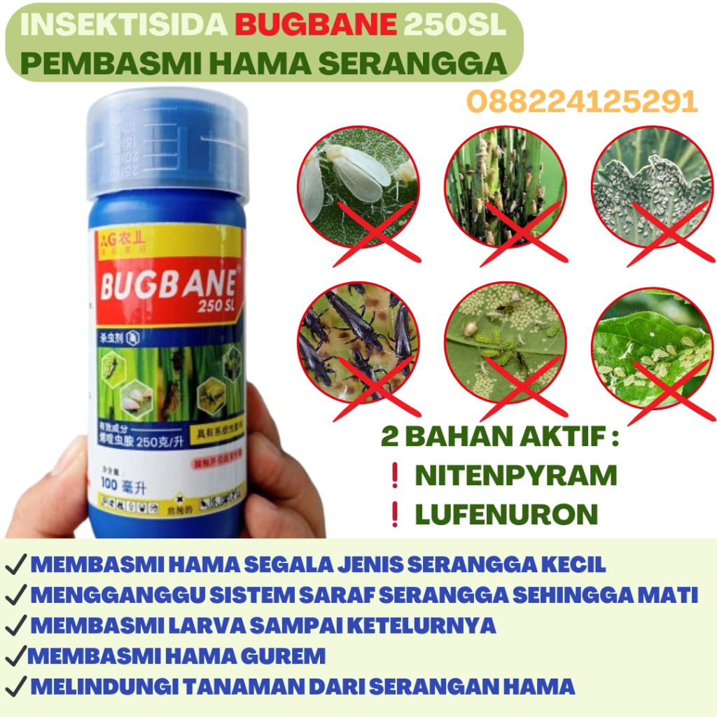 INSEKTISIDA SISTEMIK SELEKTIF PEMBASMI HAMA SERANGGA WERENG KUTU KEBUL GUREM DAN KUPU PUTIH SEMUA TA