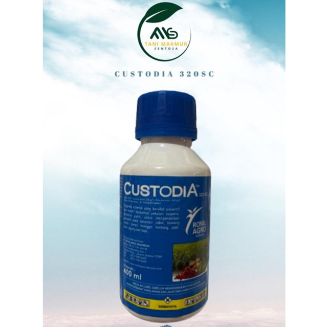 Fungisida Custodia 320 SC (Azoxstrobyn + Tebuconazole) mengendalikan penyakit antraknosa Cabe, berca