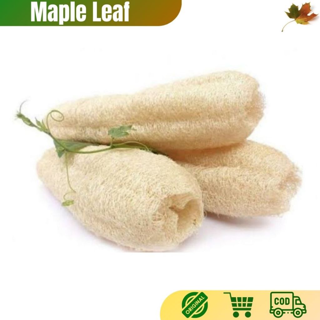Serat Loofah / Gambas / Oyong Kering - Sponge Cuci Piring Alami