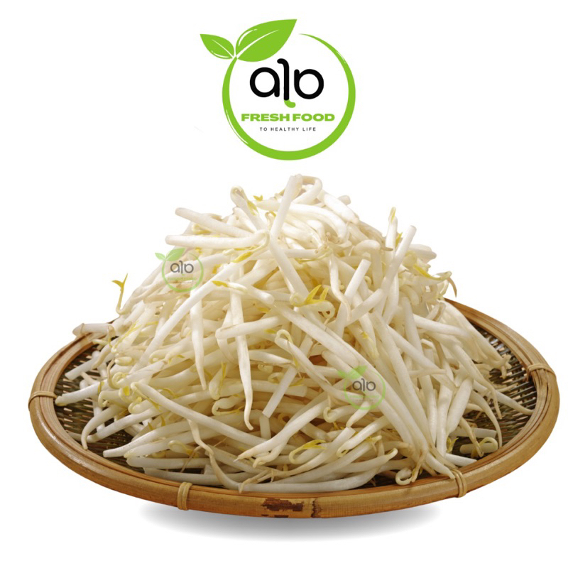 

Tauge Segar 250 gr Medan - ALO Fresh Food