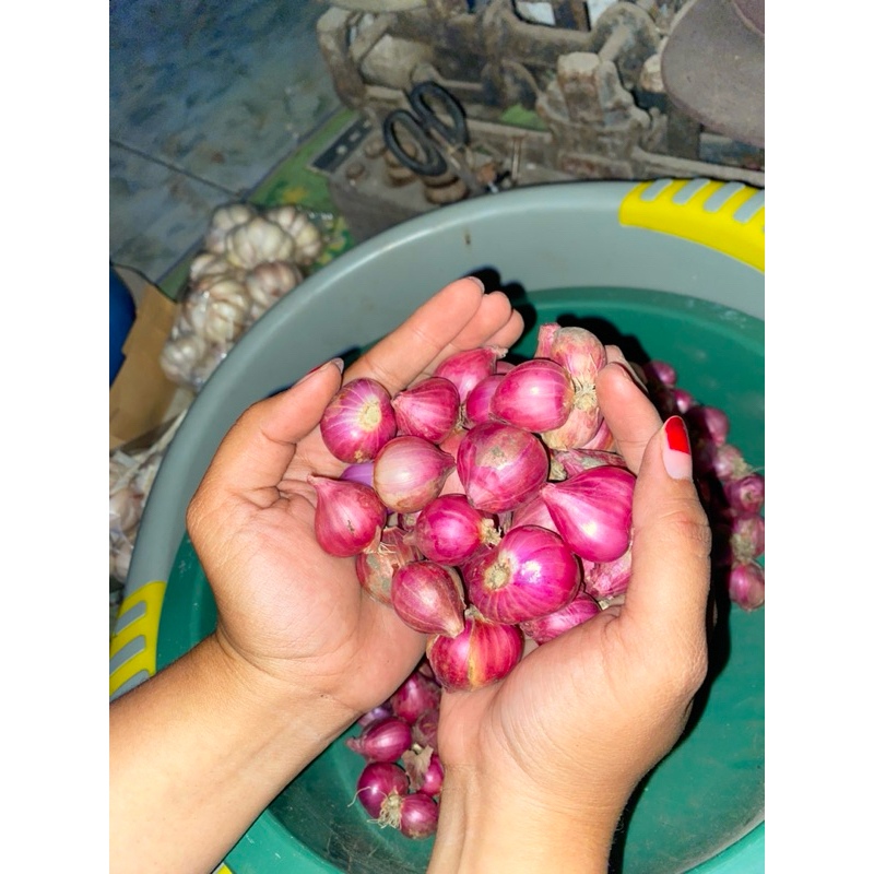 

Bawang merah grade B