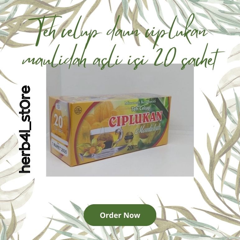 

Teh celup daun ciplukan maulidah asli isi 20 sachet Herb4l_St0re Termurah