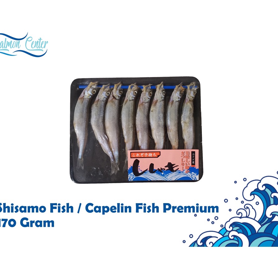 

Terlaku SHISAMO FISH CAPELIN FISH PREMIUM
