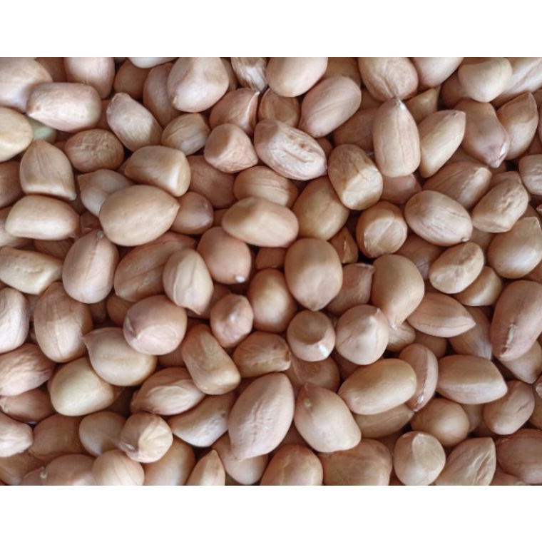 

FLASH SALE kacang tanah murah berat 1 kg