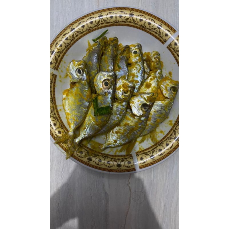 

ikan marinasi
