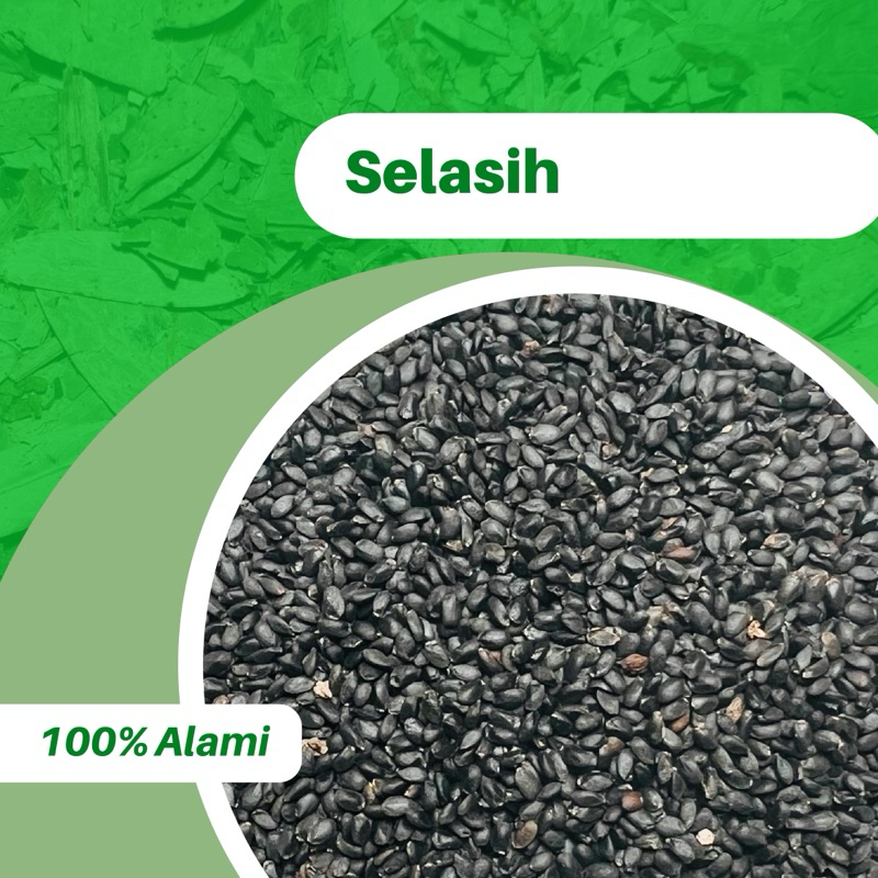 

1KG BIJI SELASIH BASIL SEEDS 1KILO 100% ORI