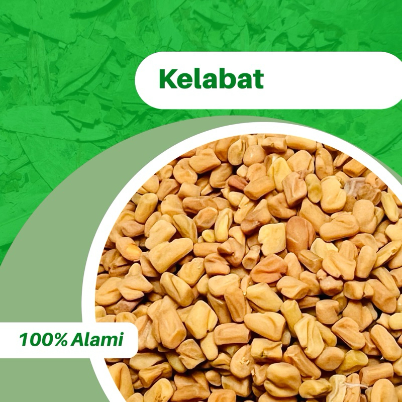 

100GR KELABAT FENUGREEK 100% ASLI