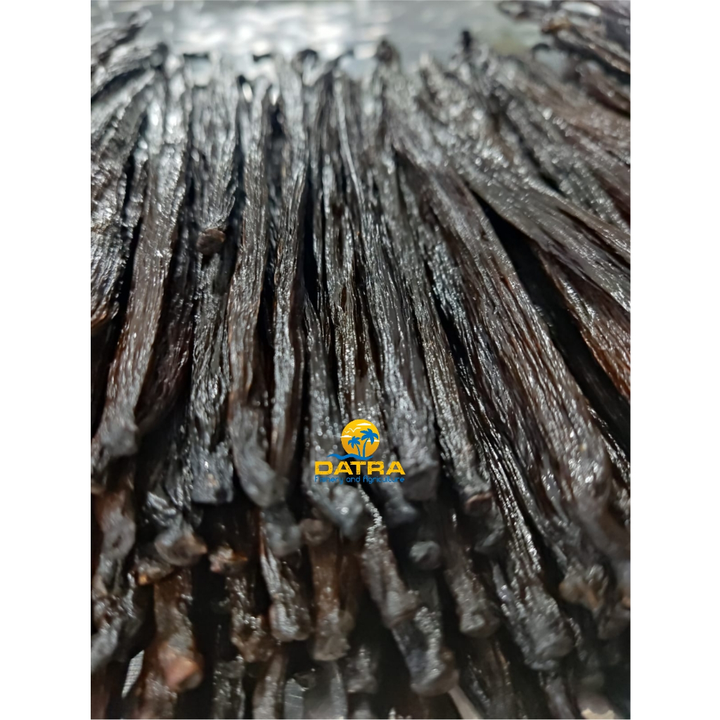 

TAHITI 50 GR, 100GR dan 250GR - Vanilla Beans Grade A Gourmet - Terbaik dan Termurah Tanaman Buah Biji Vanilla / Vanili