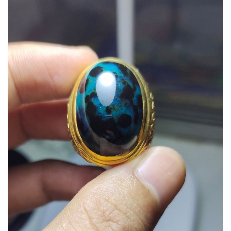 Bacan totol coklat