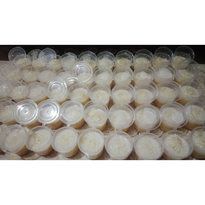 

SingkongThailandKeju