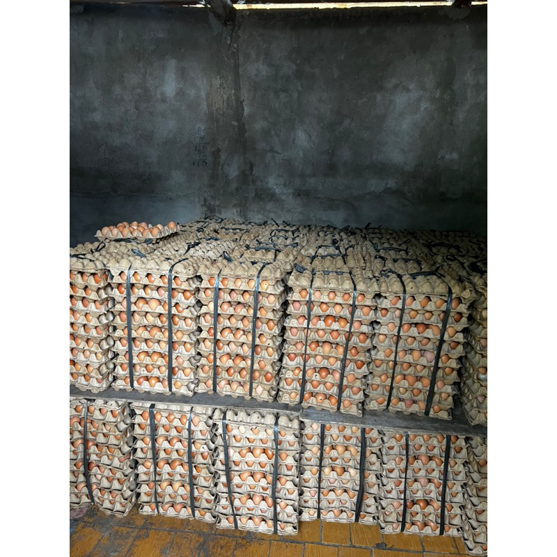 

TELUR AYAM PALEMBANG 1 KG