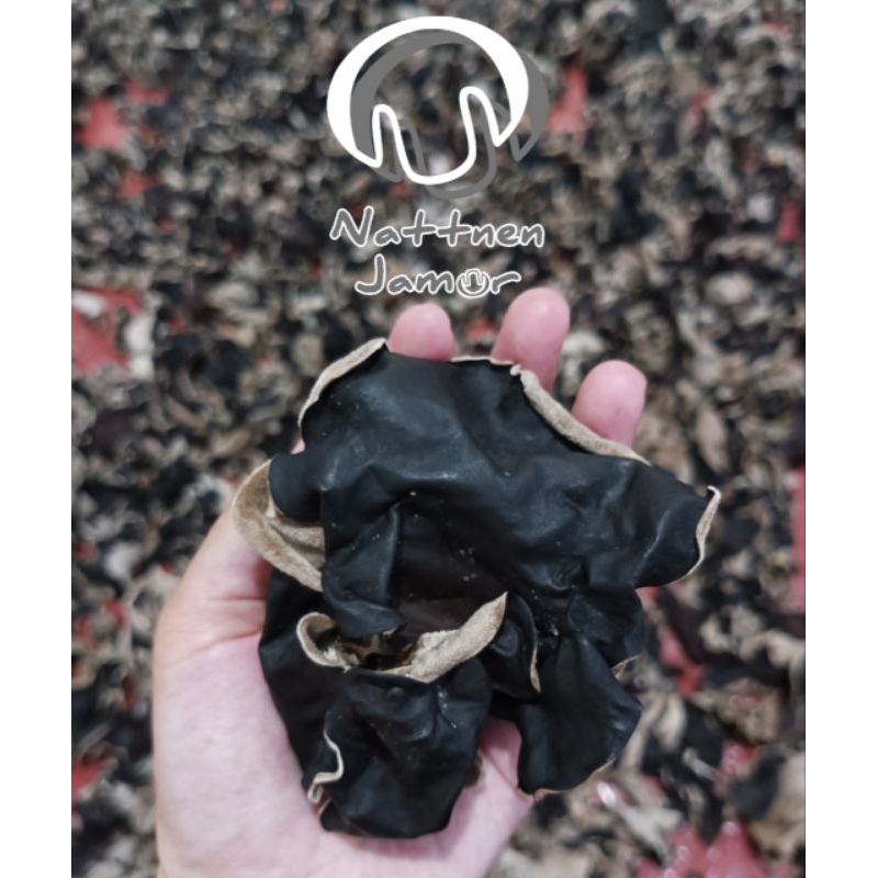 

Jamur Kuping Kering 250gram / Jamur Kuping Kering 250gr Super Campur