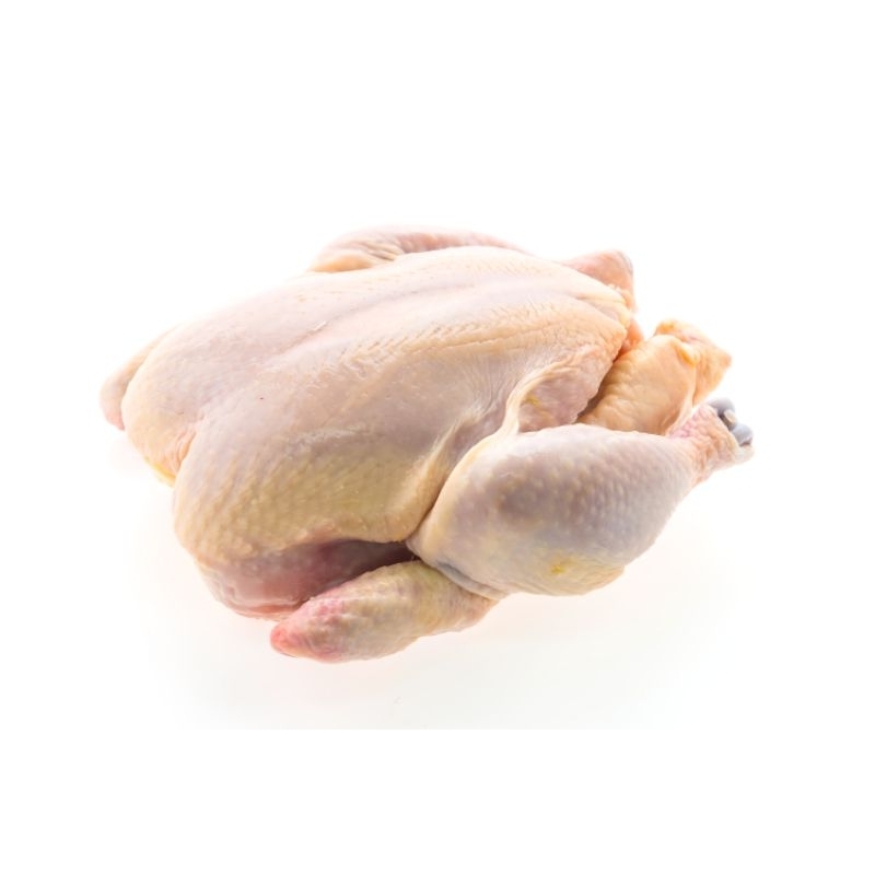 

Daging ayam utuh / karkas / gembungan