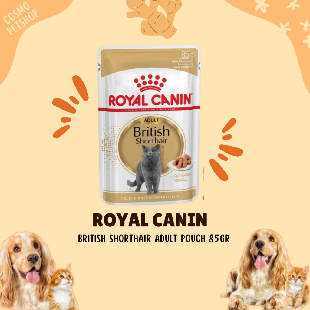 Royal Canin BRITISH SHORTHAIR Adult Makanan Basah Kucing Pouch 85 gr