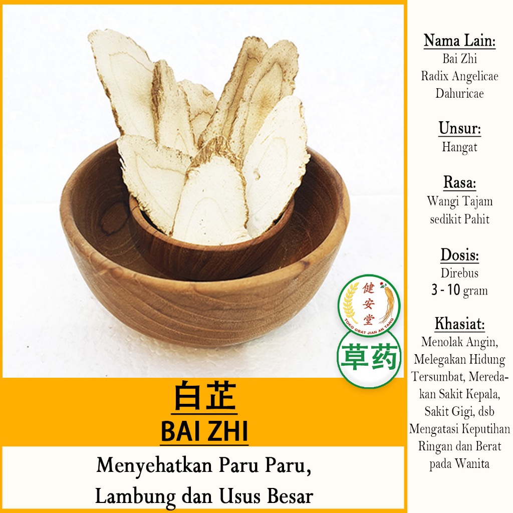 

BAI ZHI [白芷片 Radix Angelicae Dahuricae] Herbal TCM PER 100 Gram