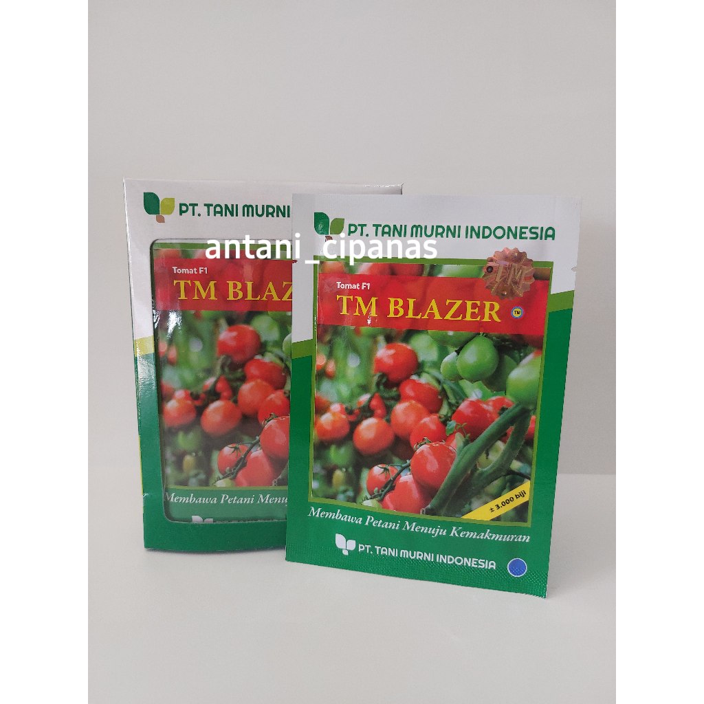 benih tomat F1 TM BLAZER 3.000biji