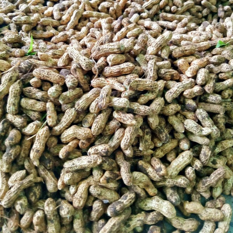 Kacang Tanah 1 Kg