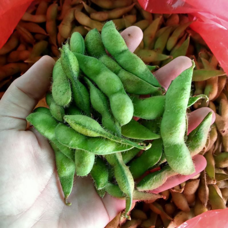KACANG EDAMAME 1 KG